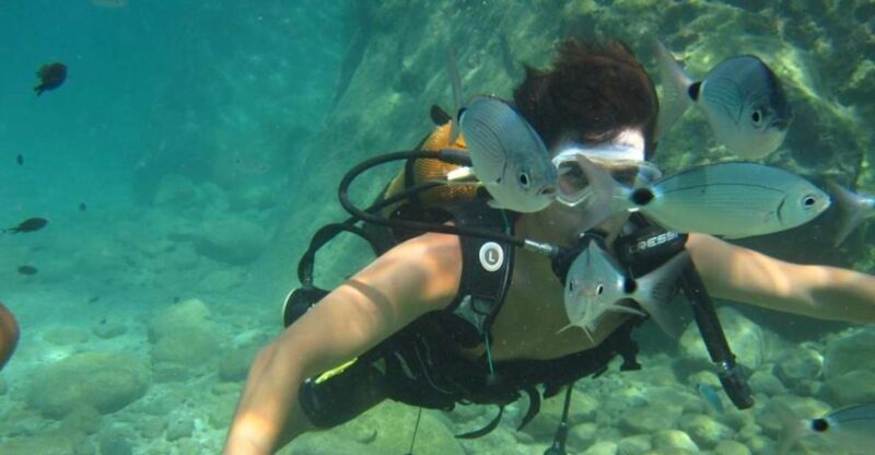 Alanya: Scuba Diving Experience with Lunch - What to Expect from Your Day in the Water