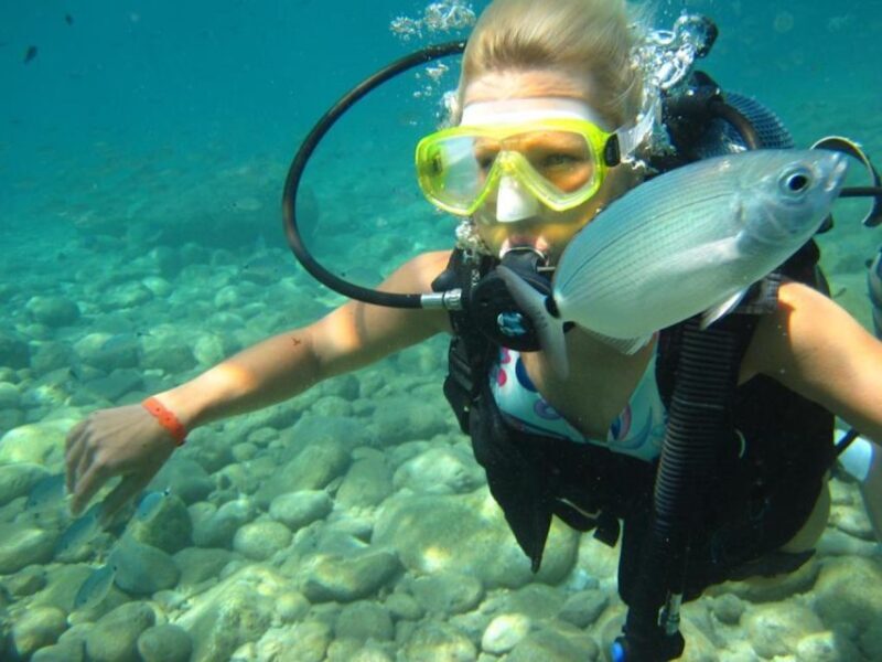 Alanya: Scuba Diving Experience with Lunch - Who Is This Tour Best For?
