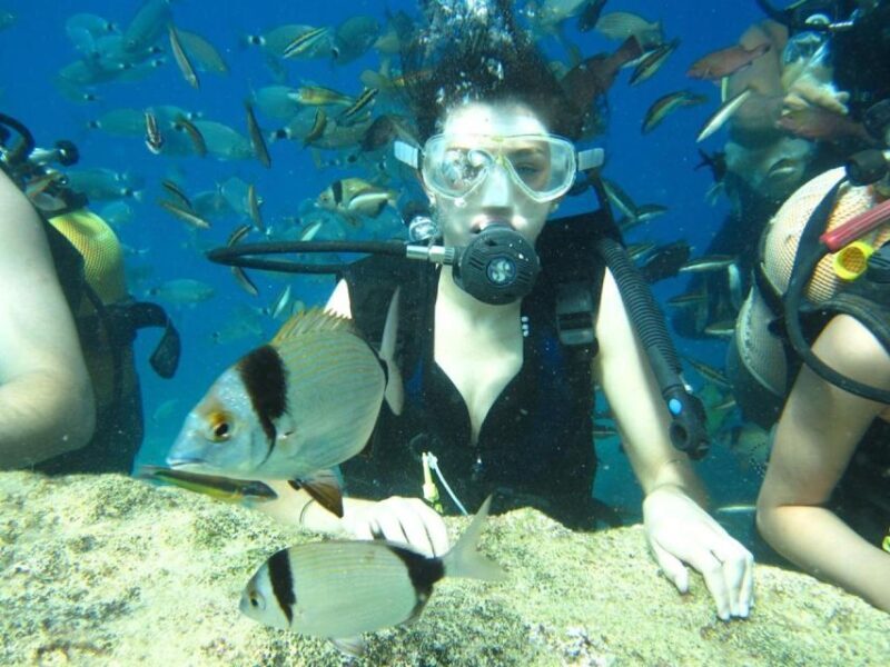 Alanya: Scuba Diving Experience with Lunch - Final Thoughts: Is It Worth Your While?