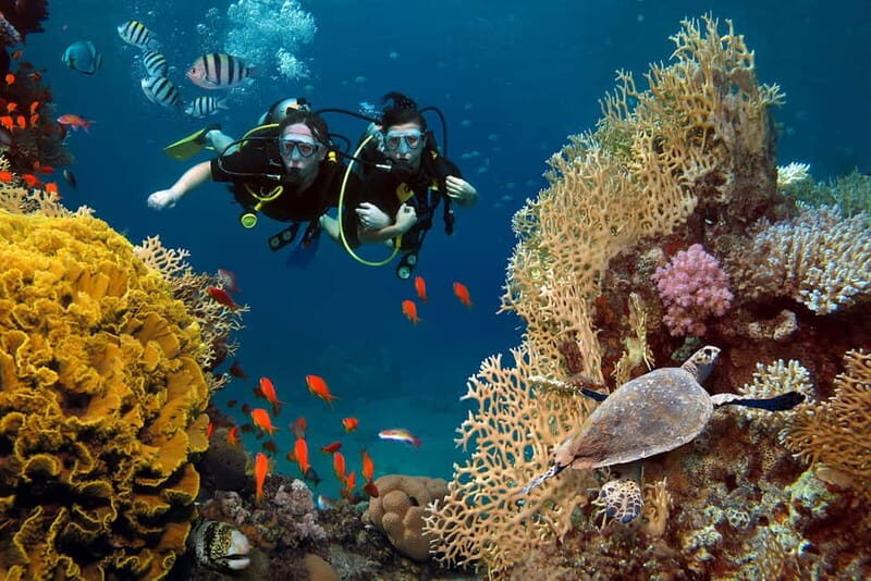 Alanya: Scuba Diving Tour with Lunch and Hotel Transfers - An In-Depth Look at the Alanya Scuba Diving Tour
