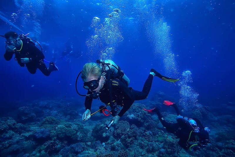 Alanya: Scuba Diving Tour with Lunch and Hotel Transfers - FAQ