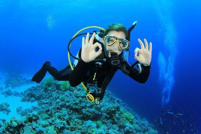 Alanya Scuba Diving With Lunch and Transfer - Starting the Day: Comfortable Pickup and Arrival at the Harbor