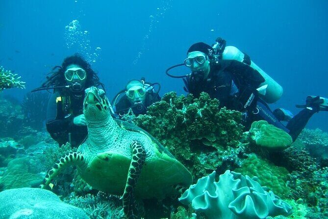 Alanya Scuba Diving With Lunch and Transfer - Return and Reflection
