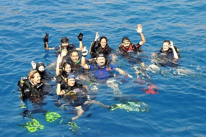 Alanya Scuba Diving With Lunch and Transfer - The Marine Environment