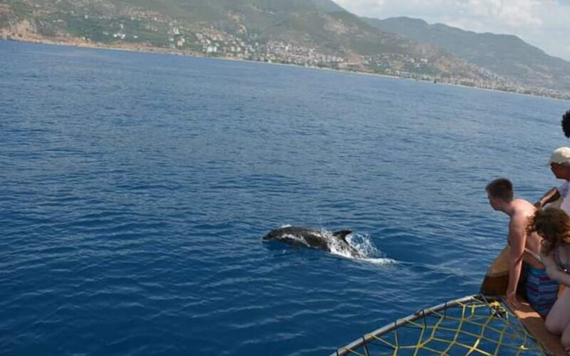 Alanya:Catamaran Tour with Lunch&Soft Drinks Animation Shows - Frequently Asked Questions