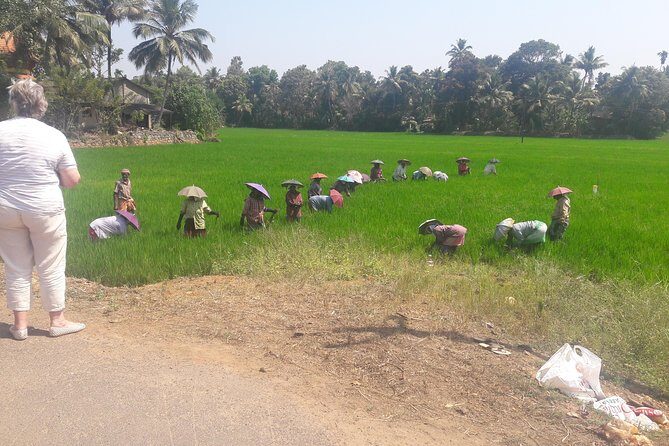 Alappuzha Backwaters in Private Houseboat with Lunch, Pick & Drop - What Travelers Say