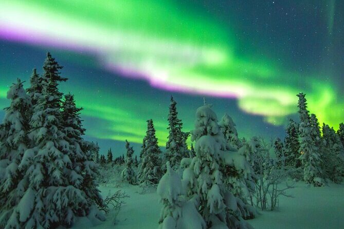 Alaska Aurora Season and Fairbanks Aurora Chasing Explore - An In-Depth Look at the Fairbanks Aurora Tour