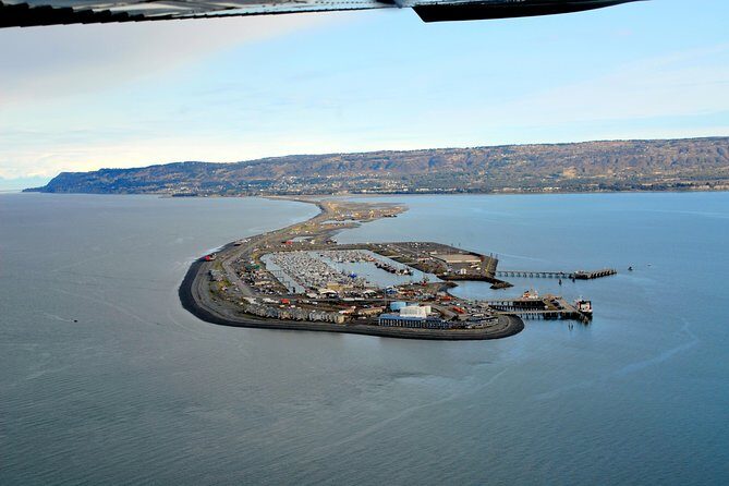 Alaska Bear-Viewing Day Trip from Homer - FAQ