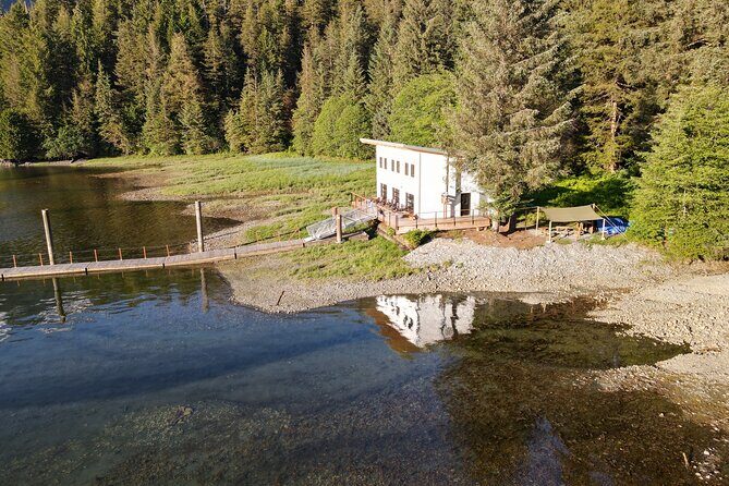 Alaska Bears and Silver Bay Homestead - Key Points