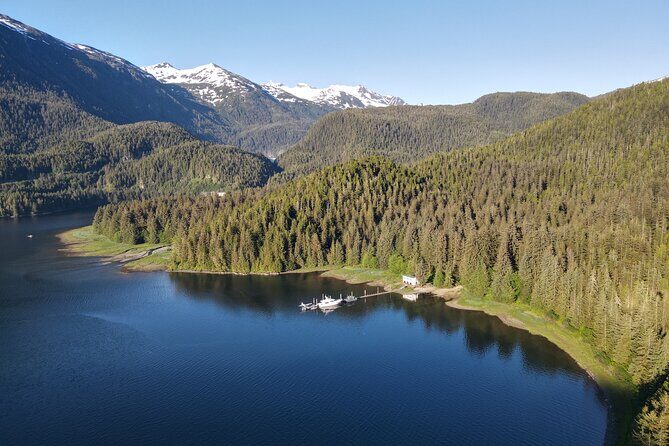 Alaska Bears and Silver Bay Homestead - A Thorough Look at the Alaska Bears and Silver Bay Homestead Tour