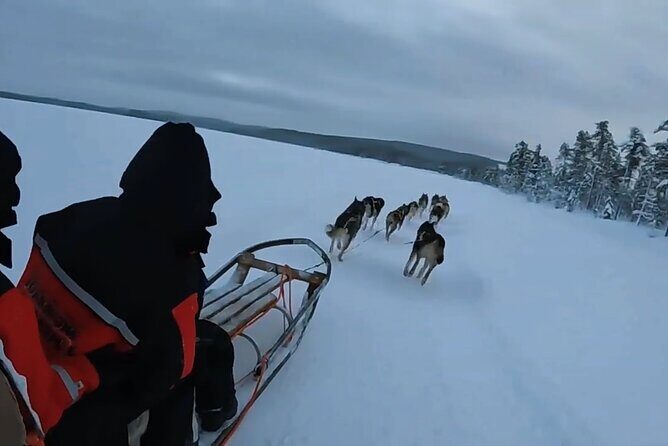 Alaska Dog Sled or ATV Ride in Fairbanks - An Authentic Taste of Alaska: Dog Sled or ATV Ride in Fairbanks