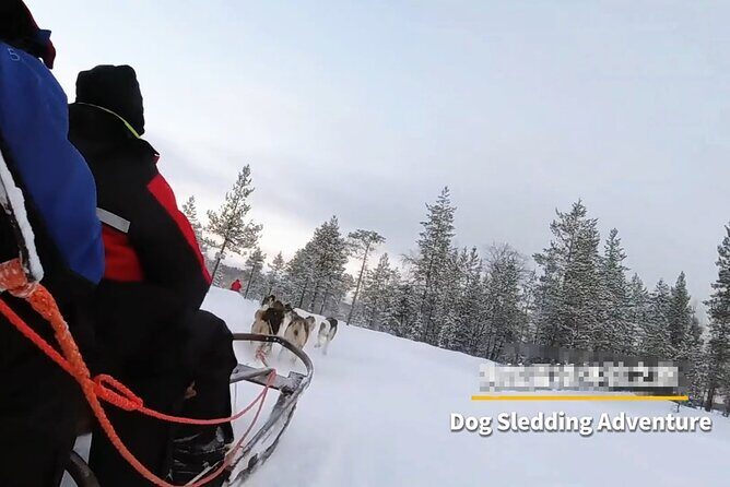 Alaska Dog Sled or ATV Ride in Fairbanks - FAQ