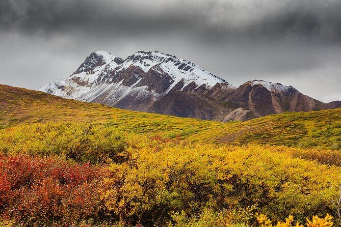 Alaska Fall Colors with Northern Lights 5 Days - Practical Details & What to Expect