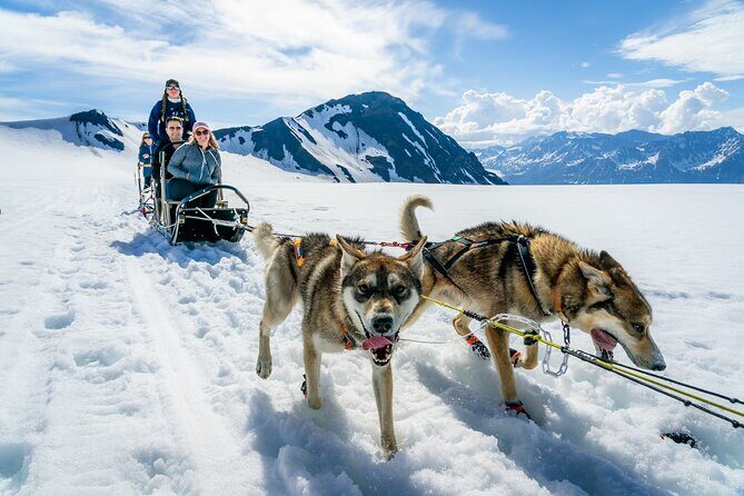 Alaska Helicopter and Glacier Dogsled Tour - SEWARD AREA - The Alaska Helicopter and Glacier Dogsled Tour - SEWARD AREA