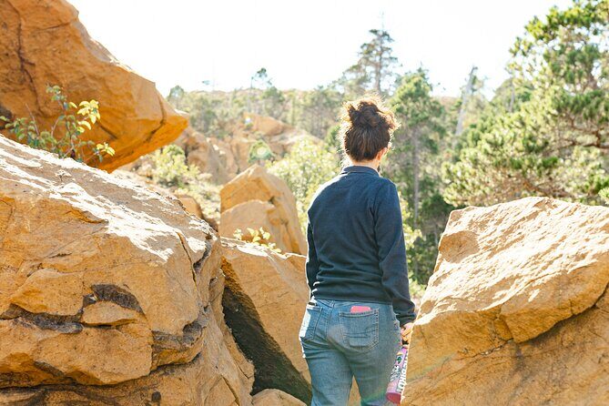 Alaska Historical Tour with Cruise Hike and Cultural Immersion - Key Points