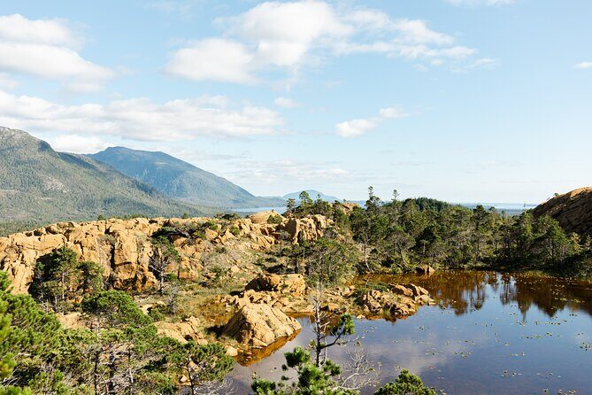 Alaska Historical Tour with Cruise Hike and Cultural Immersion - Who Should Consider This Tour?