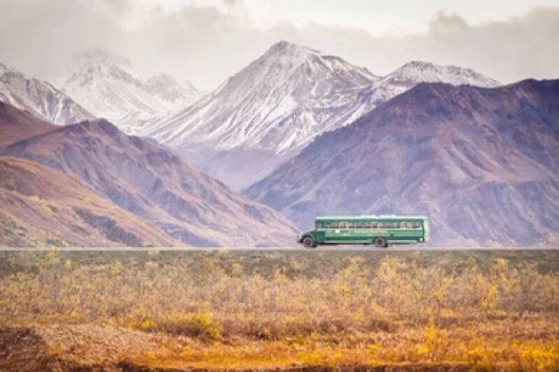 Alaska: Kenai Fjords & Denali National Park 5 Day Adventure - Key Points