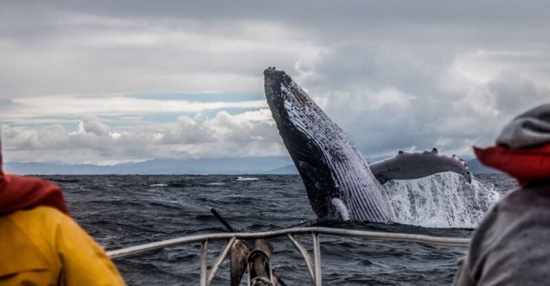 Alaska: Kenai Fjords & Denali National Park 5 Day Adventure - Exploring the Itinerary in Detail