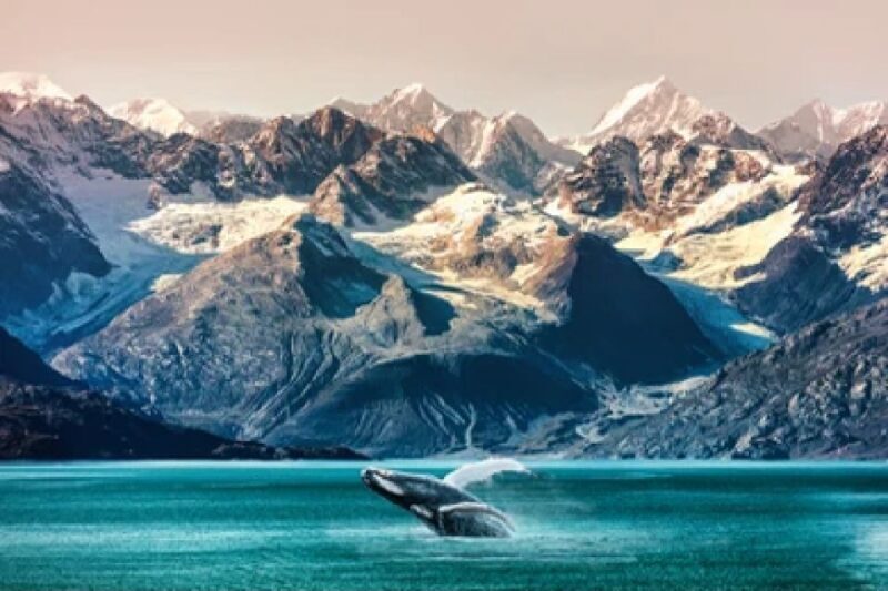 Alaska: Kenai Fjords & Denali National Park 5 Day Adventure - Who This Tour Is Perfect For