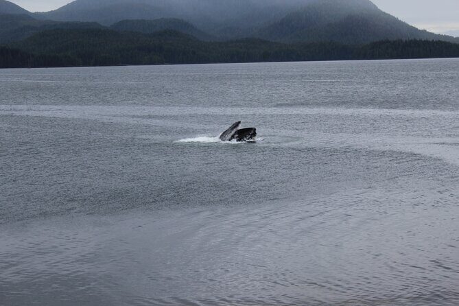 Alaska Native Cultural and Wildlife Adventure - A Deep Dive into the Alaska Native Cultural and Wildlife Adventure