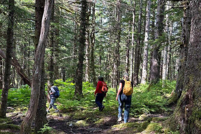 Alaska Nature Immersion: Forest Therapy Tour in Haines, Alaska - Practical Details and Tips