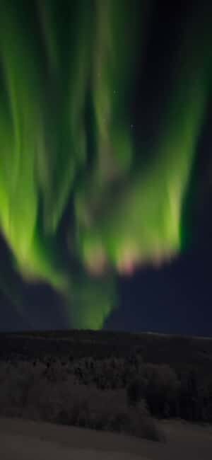 Alaska: Private Northern Lights Viewing Tour - Alaska: Private Northern Lights Viewing Tour