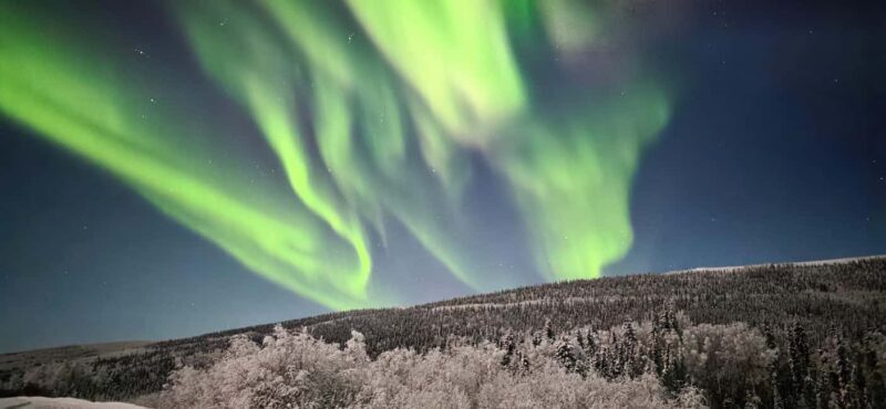 Alaska: Private Northern Lights Viewing Tour - Why This Tour Offers Good Value
