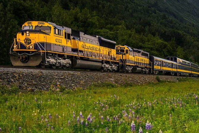 Alaska Railroad Anchorage to Denali One Way - The Journey and What to Expect