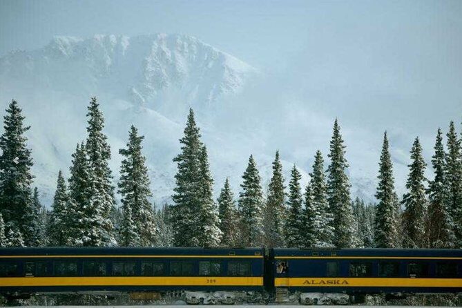 Alaska Railroad Anchorage to Denali One Way - Who Is This Tour Best For?