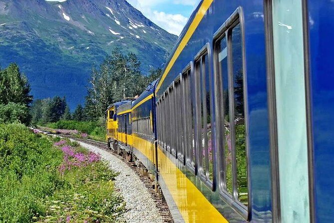 Alaska Railroad Anchorage to Seward One Way - Authentic Comments from Travelers