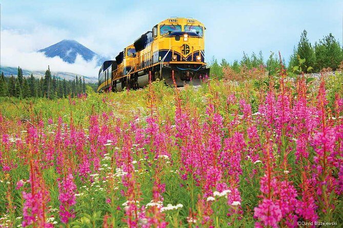 Alaska Railroad Anchorage to Seward Round-Trip Same Day Return - The Sum Up