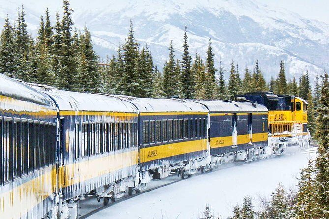 Alaska Railroad Aurora Winter Anchorage to Fairbanks One Way - An In-Depth Look at the Alaska Railroad Aurora Winter Journey