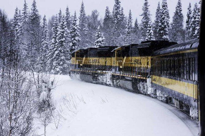 Alaska Railroad Aurora Winter Anchorage to Fairbanks One Way - Who Will Love This Experience?