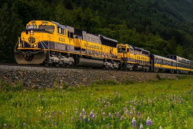 Alaska Railroad Denali to Anchorage One Way - FAQ