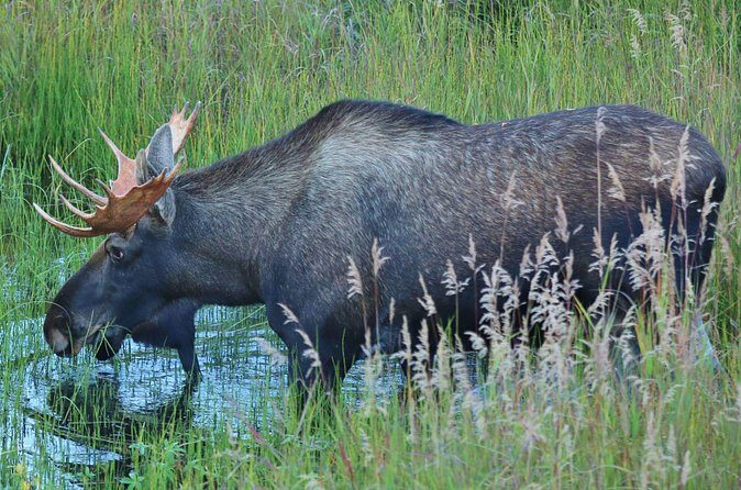 Alaska Railroad Hurricane Turn RoundTrip Talkeetna - Hurricane Flagstop Same Day - Final Thoughts