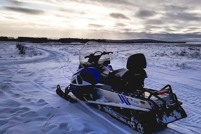 Alaska Snowmobile Adventure Tour - Final Thoughts: Who Should Consider This Tour?