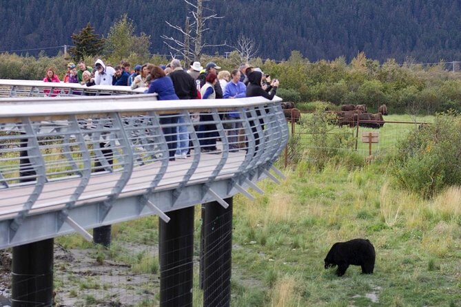 Alaska Wildlife Day Tour with Free Hotel Pickup - The Sum Up: Is It Worth It?