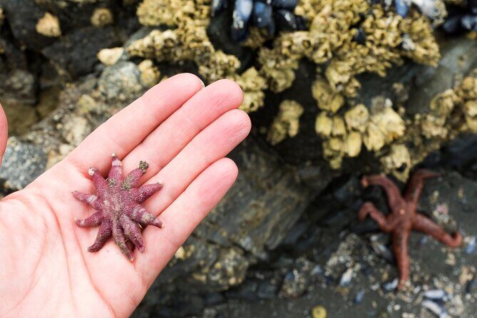 Alaska Wildlife Safari and Sightseeing Tour - Detailed Breakdown of the Experience