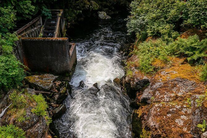 Alaska Wildlife Safari and Sightseeing Tour - Practical Details and Tips