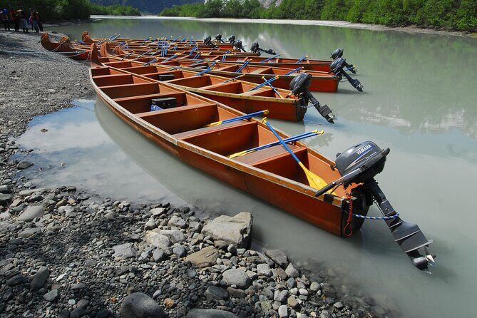 Alaska Wildlife Voyageur Canoe Safari from Haines - Considerations and Caveats