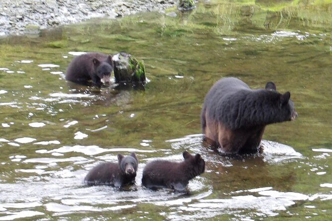 Alaska Wildlife Waterfall Tours - What makes this tour special