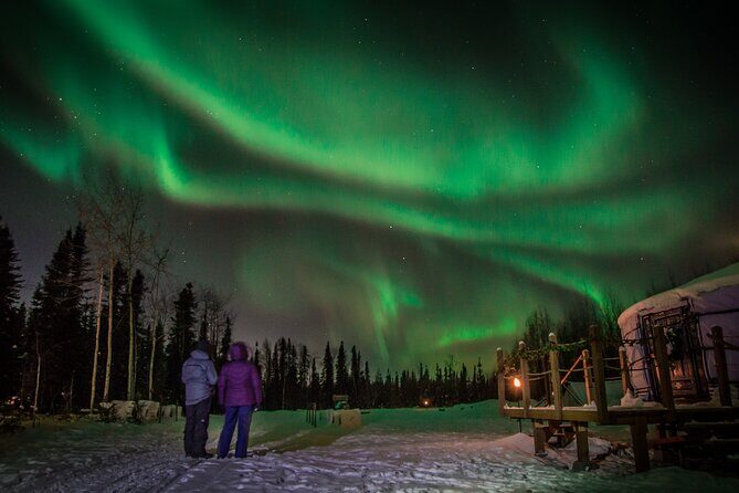 Alaskan Escape: Aurora Viewing & Dog Sledding Adventure Fairbanks - Who Should Consider This Tour?