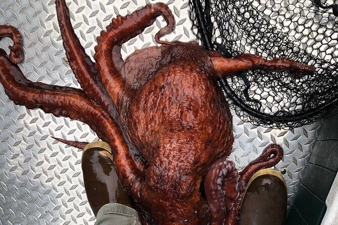 Alaskan Salmon Fishing with optional Adaptive Gear - Exploring the Details of Your Salmon Fishing Trip in Ketchikan