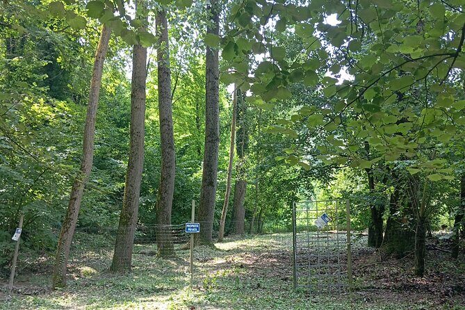Alba Truffle Hunting, Barolo and Barbaresco Tasting - Who Should Consider This Tour?