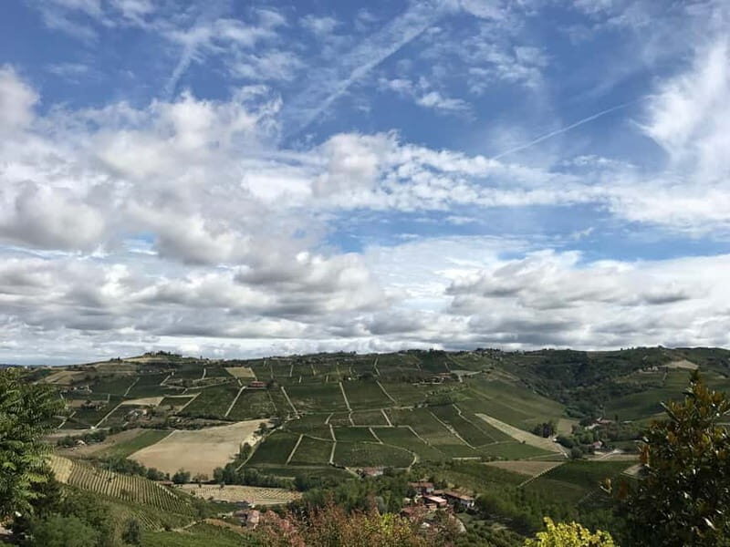 Alba: Wine Tasting and Tour with a Local Producer - Alba: Wine Tasting and Tour with a Local Producer — A Deep Dive into Piedmont’s Vineyards