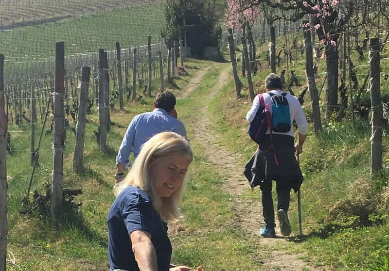 Alba: Wine Tasting and Tour with a Local Producer - The Itinerary in Detail