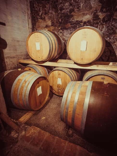 Alba: Wine Tasting and Tour with a Local Producer - Final Thoughts