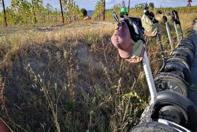 Albahills Segway Tour & Wine Tasting - A Closer Look at the Itinerary