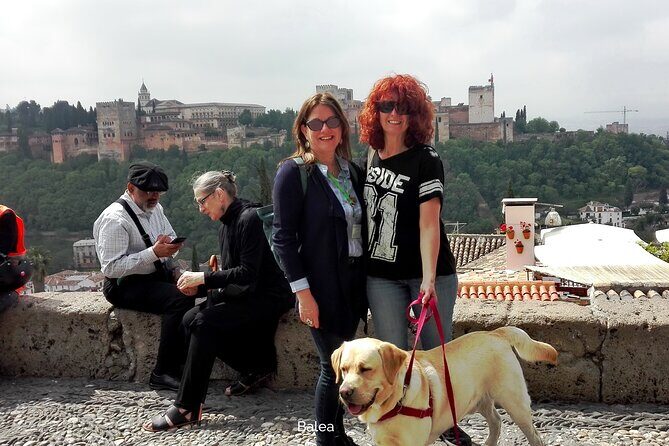 Albaicin guided tour with dogs - Who Will Benefit Most?