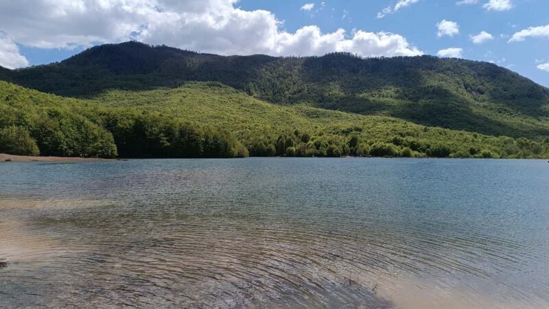 Albania: Culture in AI Development: Art Residency Project - FAQs